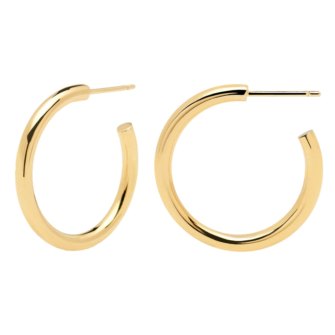 Core Gold Earrings
