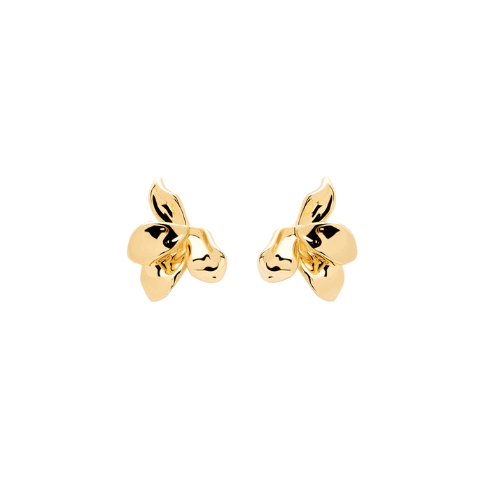 Narcise Gold Earrings