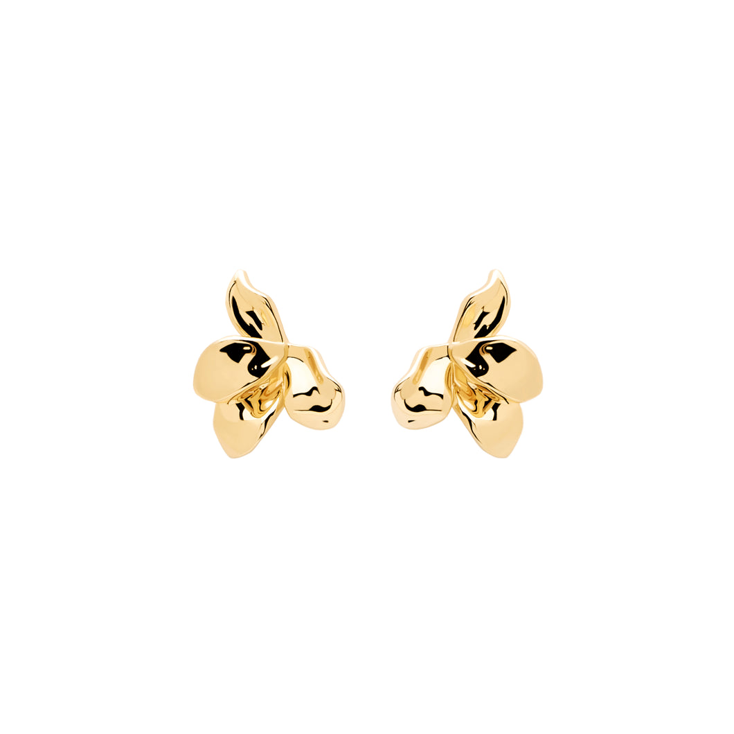 Narcise Gold Earrings
